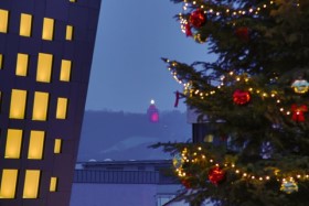 Ingelheim am Rhein: Unterhaltsame Winter-Walk-Weihnachtsfeier