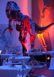 Frankfurt: Dinner unter Dinos im Senckenberg Naturmuseum